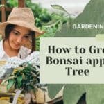 Mastering the Art of bonsai apple tree cultivation